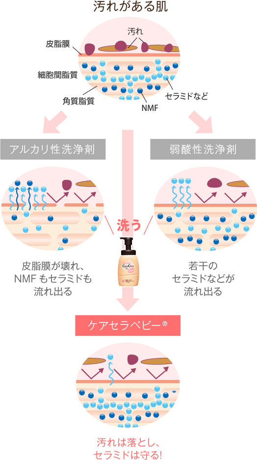汚れは落とし、セラミドは守る!