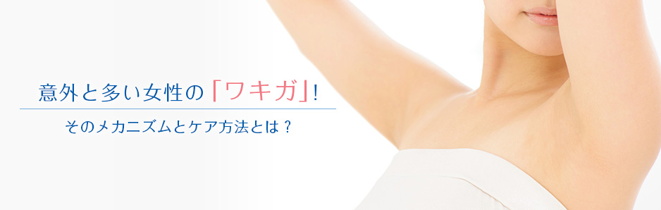 意外と多い女性の「ワキガ」!そのメカニズムとケア方法とは?