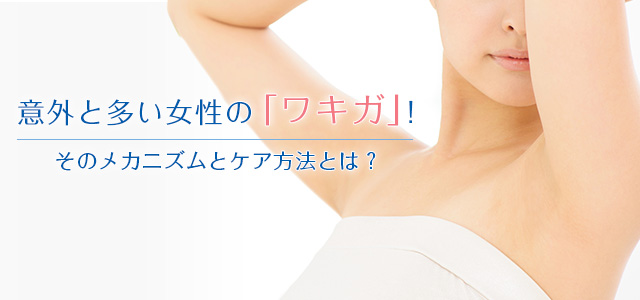 意外と多い女性の「ワキガ」!そのメカニズムとケア方法とは?