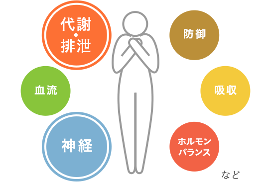 牛車腎気丸の働き