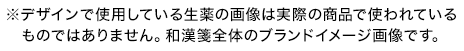 ※デザインで使用している生薬の画像は実際の商品で使われているものではありません。和漢箋全体のブランドイメージ画像です。