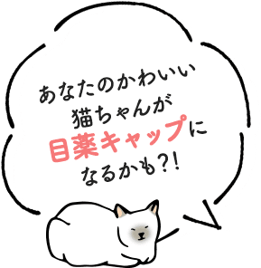 あなたのかわいい猫ちゃんが目薬キャップになるかも？！