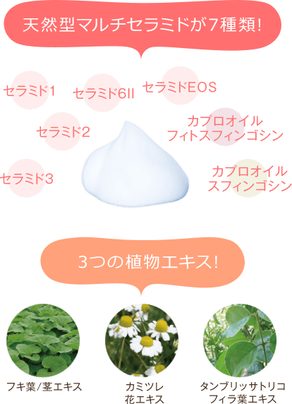 天然型マルチセラミドが7種類! 3つの植物エキス!