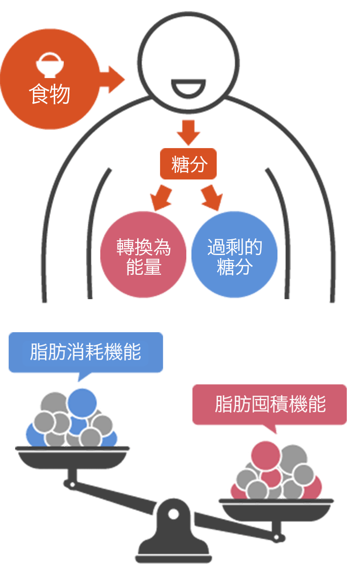 關於和漢箋防風通聖散