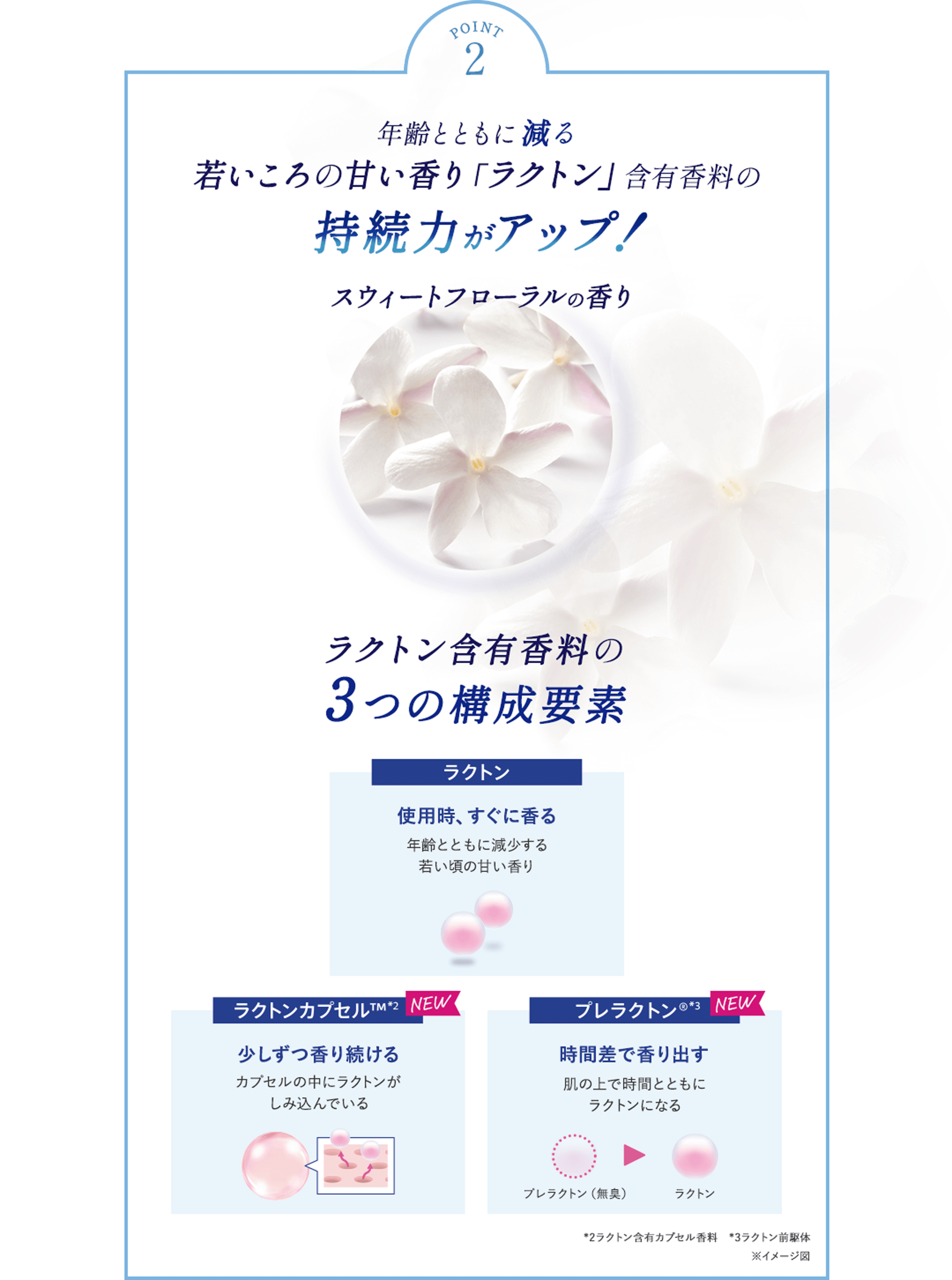 POINT 2 年齢とともに減少する若いころの甘い香り（ラクトン）を含む スウィートフローラルの香り