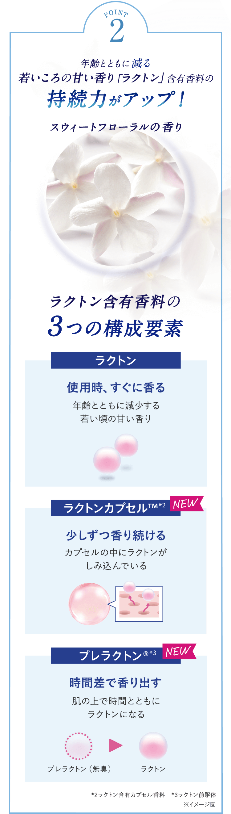 POINT 2 年齢とともに減少する若いころの甘い香り（ラクトン）を含む スウィートフローラルの香り
