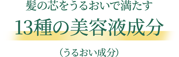 髪の芯をうるおいで満たす 13種の美容液成分 （うるおい成分）