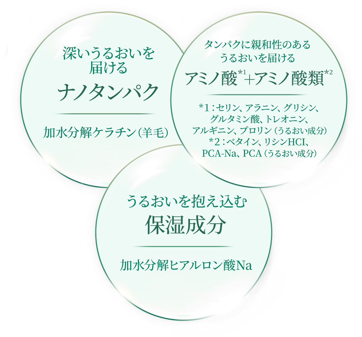 深いうるおいを届ける ナノタンパク 加水分解ケラチン（羊毛） タンパクに親和性のあるうるおいを届ける アミノ酸*1 + アミノ酸類*2 *1：セリン、アラニン、グリシン、グルタミン酸、トレオニン、アルギニン、プロリン（うるおい成分） *2：ベタイン、リシンHCI、PCA-Na、PCA（うるおい成分） うるおいを抱え込む保湿成分 加水分解ヒアルロン酸Na