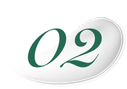 02