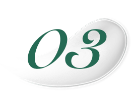 03