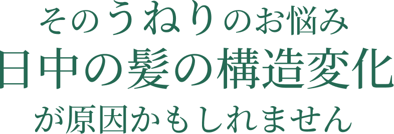 そのうねりのお悩み 日中の髪の構造変化が原因かもしれません