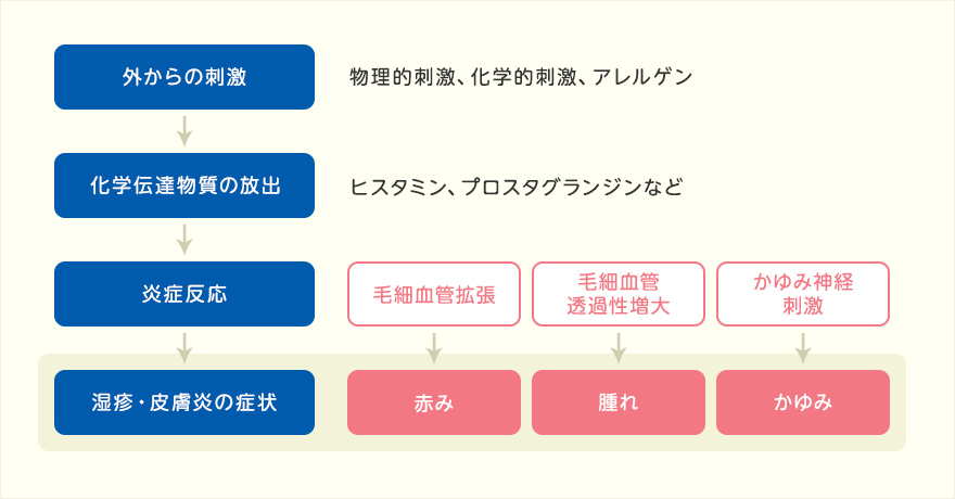 湿疹の仕組み