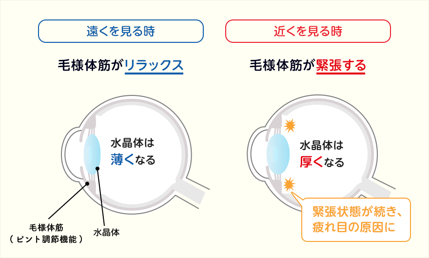 老眼 の原因 症状 対処法 ロート製薬 商品情報サイト