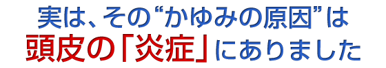 実は、その“かゆみの原因”は、頭皮の「炎症」にありました