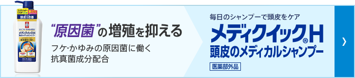 メディクイックh ロート製薬 商品情報サイト