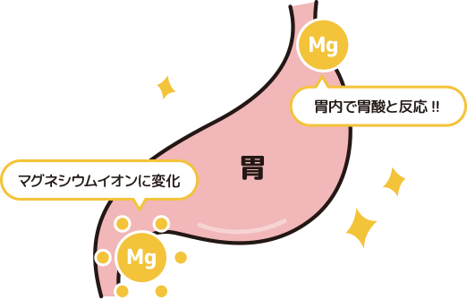 水 酸化マグネシウムが胃内で胃酸と反応して、マグネシウムイオンになります。