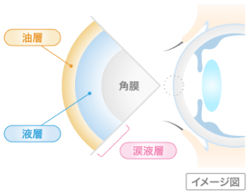 油層 液層 涙液層 角膜 イメージ図