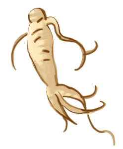 ニンジン末