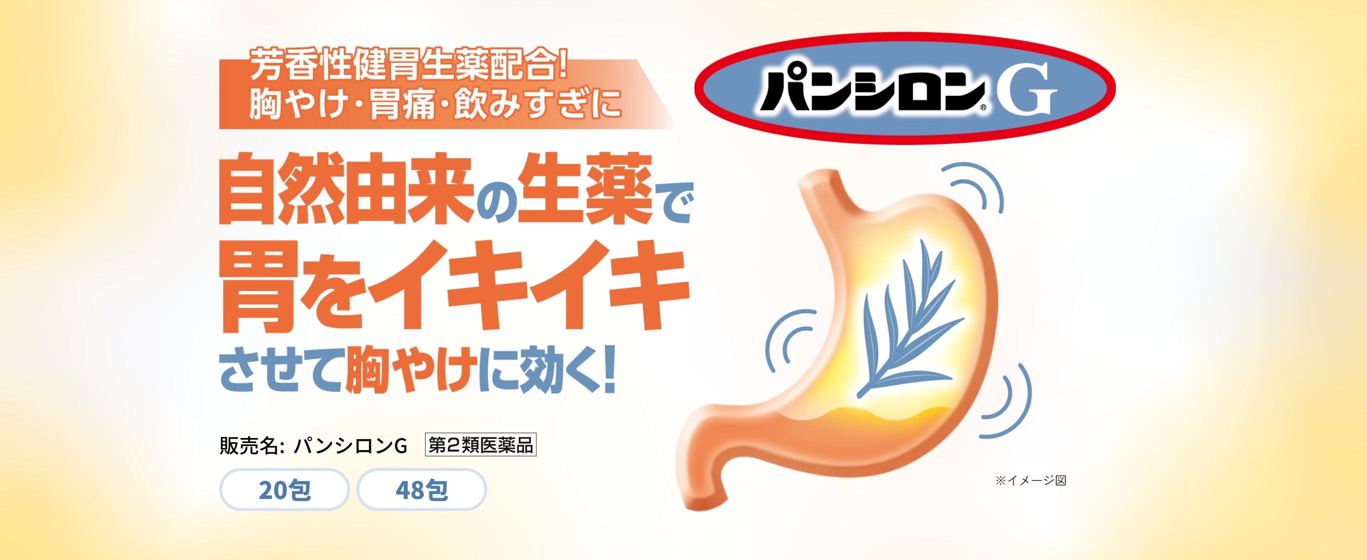 芳香性健胃生薬配合！胸やけ・胃痛・飲みすぎに自然由来の生薬で胃をイキイキさせて胸やけに効く！パンシロンG