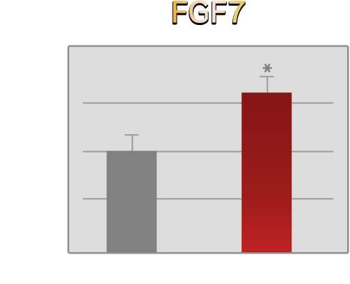 FGF7