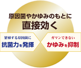 原因菌やかゆみのもとに直接効く！繁殖する原因菌に抗菌力を発揮×我慢できないをかゆみを抑制