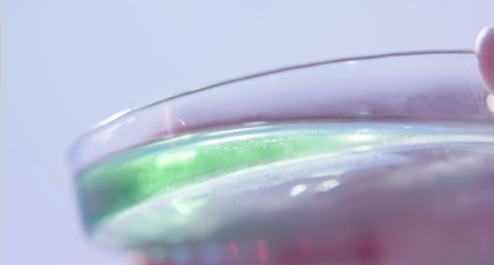 セラミド イメージ図