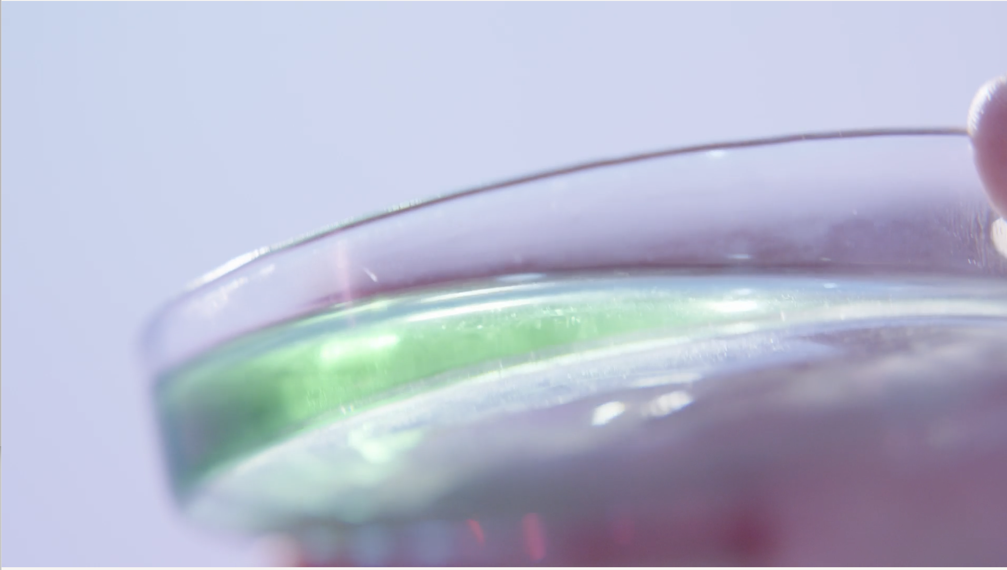 セラミド イメージ図