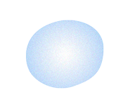 「肌の健康に必要な３成分」 背景