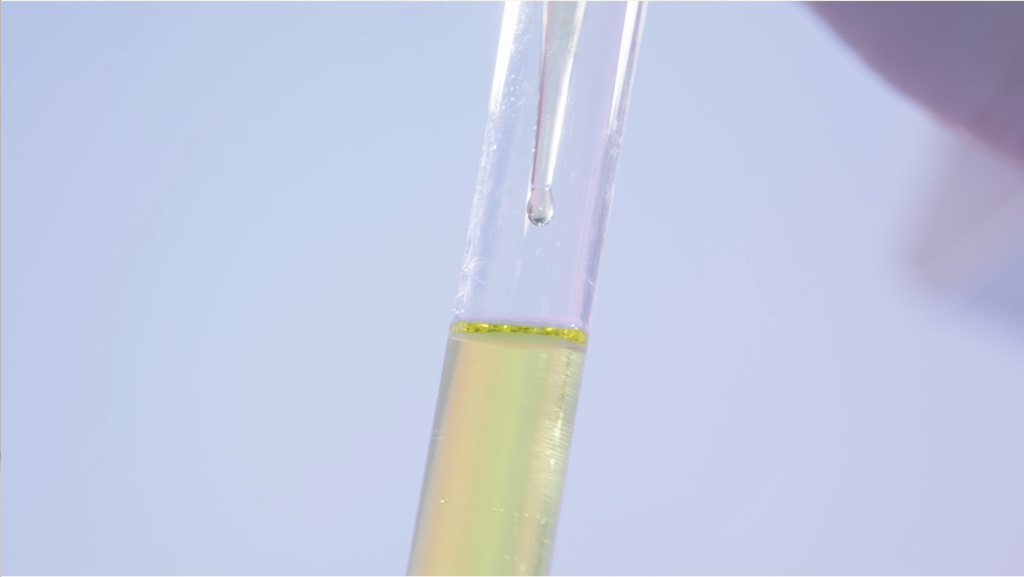 ビタミンC イメージ図