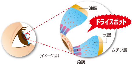 ドライスポット