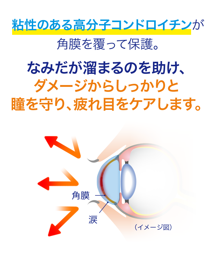 粘性のある高分子コンドロイチンが角膜を覆って保護。なみだが溜まるのを助け、ダメージからしっかりと瞳を守ります。