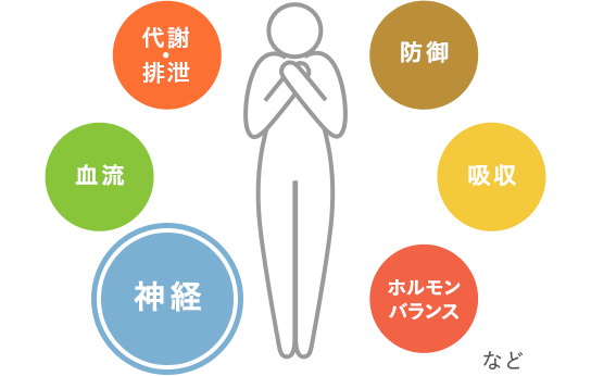 柴胡加竜骨牡蠣湯の働き