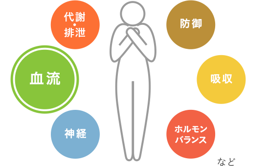 当帰飲子の働き