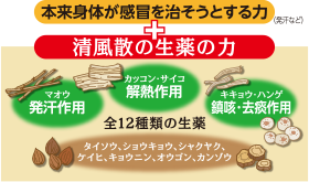 感冒時の身体の力を高めて熱や咳と戦う!しかも、眠くなりやすい成分なし。