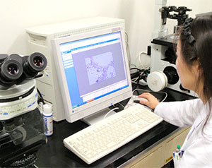 百年樂敦，製藥品質——樂敦品質設計中心