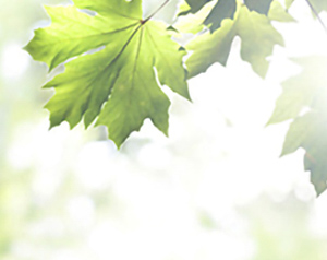 こわいのはどっち！？紫外線A波（UVA）と紫外線B波（UVB）