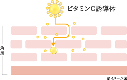 ビタミンC誘導体