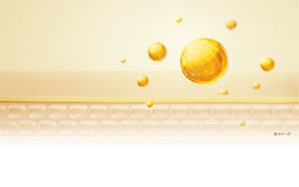 肌で働く、肌に効く。ロートのC