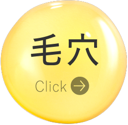 毛穴