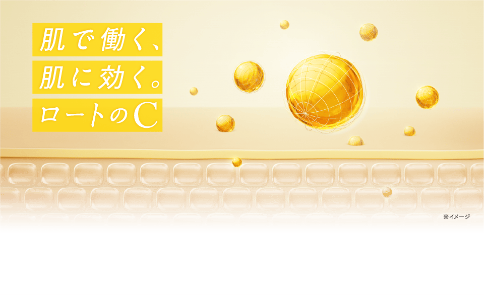 肌で働く、肌に効く。ロートのC