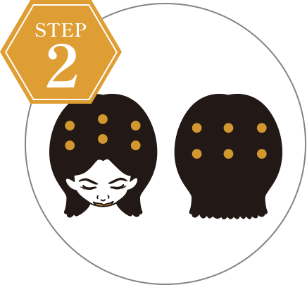 黒髪アクティブエッセンス | ロート製薬: 商品情報サイト