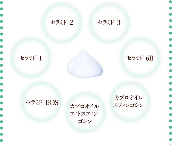 図：7種のセラミド