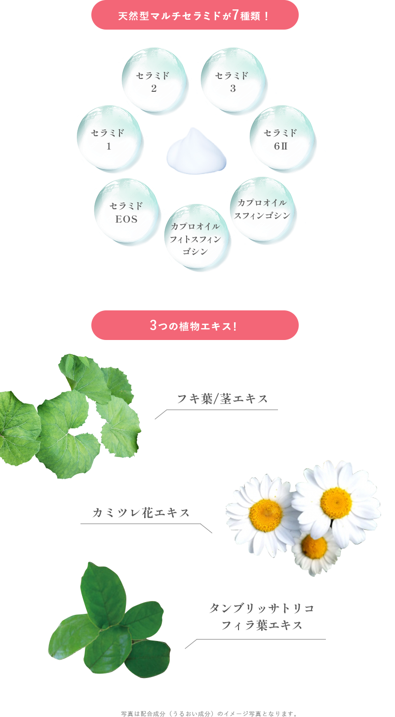 天然型マルチセラミドが7種類！セラミド 1、 セラミド 2、 セラミド 3、 セラミド 6Ⅱ、カプロオイル スフィンゴシン、 カプロオイルフィトスフィンゴシン、セラミド EOS。3つの植物エキス！フキ葉/茎エキス、カミツレ花エキス、タンブリッサトリコフィラ葉エキス。写真は配合成分（うるおい成分）のイメージ写真となります。