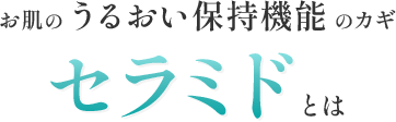 お肌のうるおい保持機能のカギセラミドとは