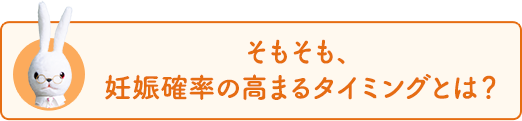 そもそも、妊娠確率の高まるタイミングとは？