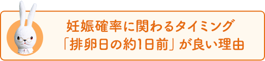 妊娠確率に関わるタイミング「排卵日の約1日前」が良い理由