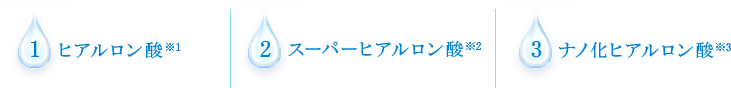 ヒアルロン酸※1　スーパーヒアルロン酸※2　ナノ化ヒアルロン酸※3