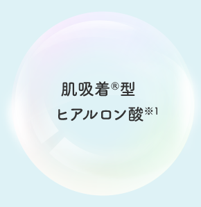 肌吸着®型ヒアルロン酸※1