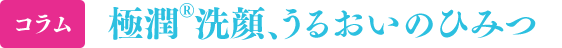 コラム 極潤®洗顔、うるおいのひみつ