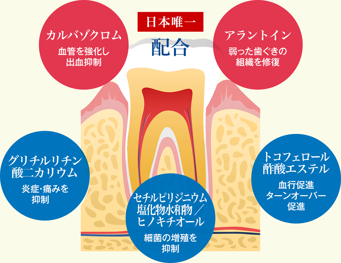 日本唯一配合「カルバゾクロム 血管を強化し出血抑制」「アラントイン 弱った歯ぐきの組織を修復」「グリチルリチン酸二カリウム 炎症・痛みを抑制」「トコフェロール酢酸エステル 血行促進ターンオーバー促進」「セチルピリジニウム塩化物水和物 ／ヒノキチオール細菌の増殖を抑制」